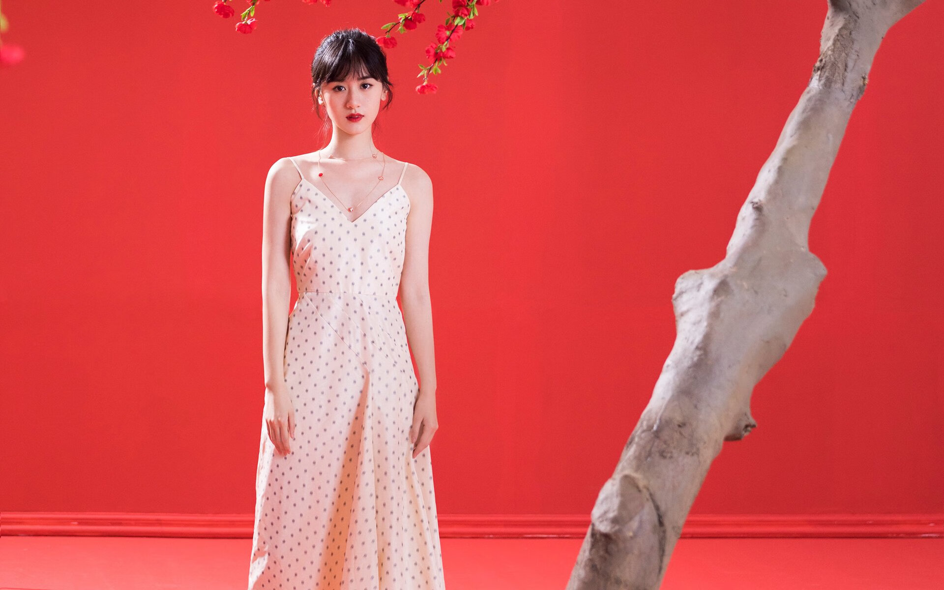 塞内加尔马术协会推出马术运动员健康管理系统，关注运动员身心健康。