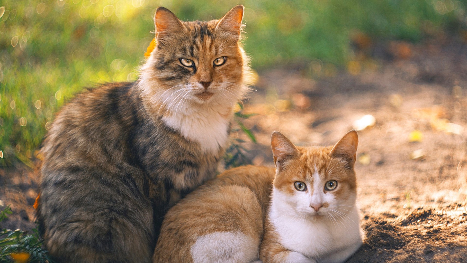九游(jiuyou)官方网站-乌拉圭男足在巴黎奥运会比赛中表现出色,赢得铜牌,乌拉圭男子足球队