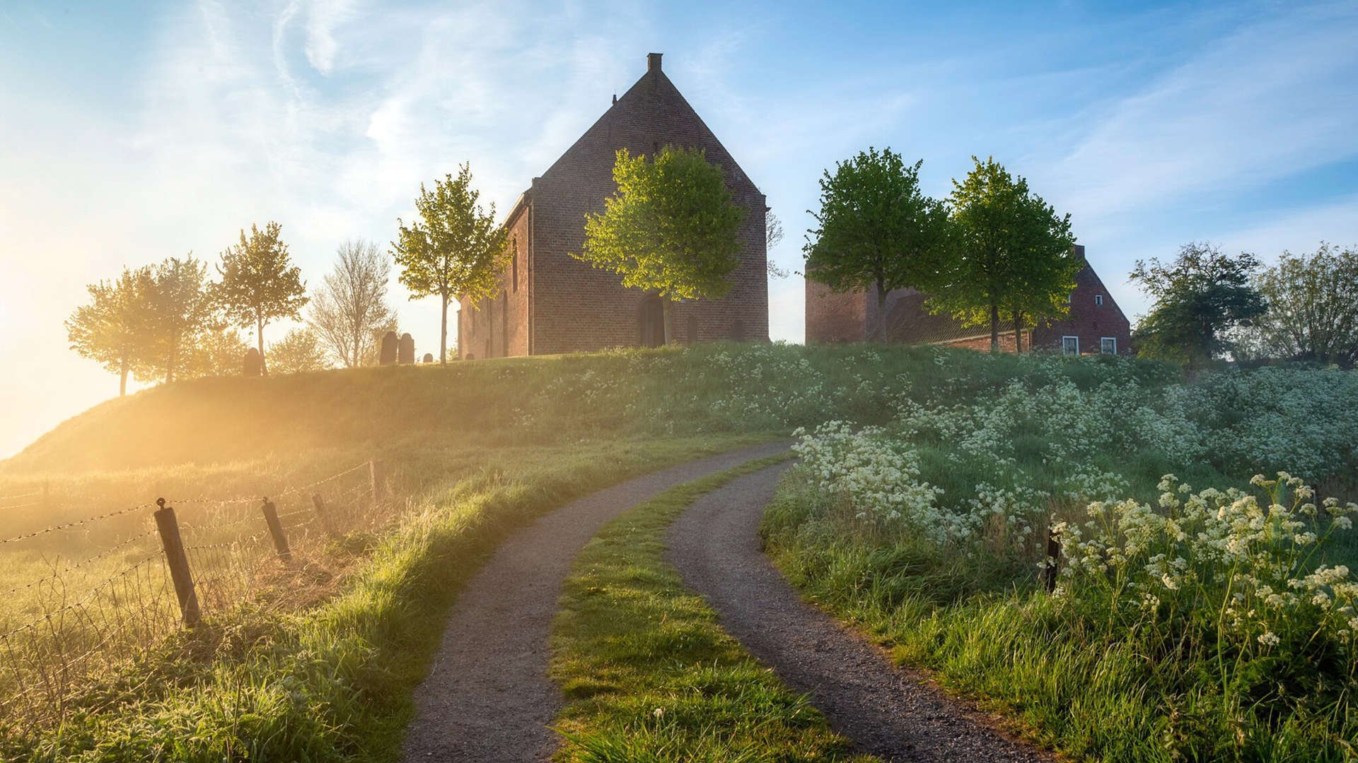 史上最亮眼“冠军夜”：拼搏与荣耀的精彩瞬间，冠军hqmg