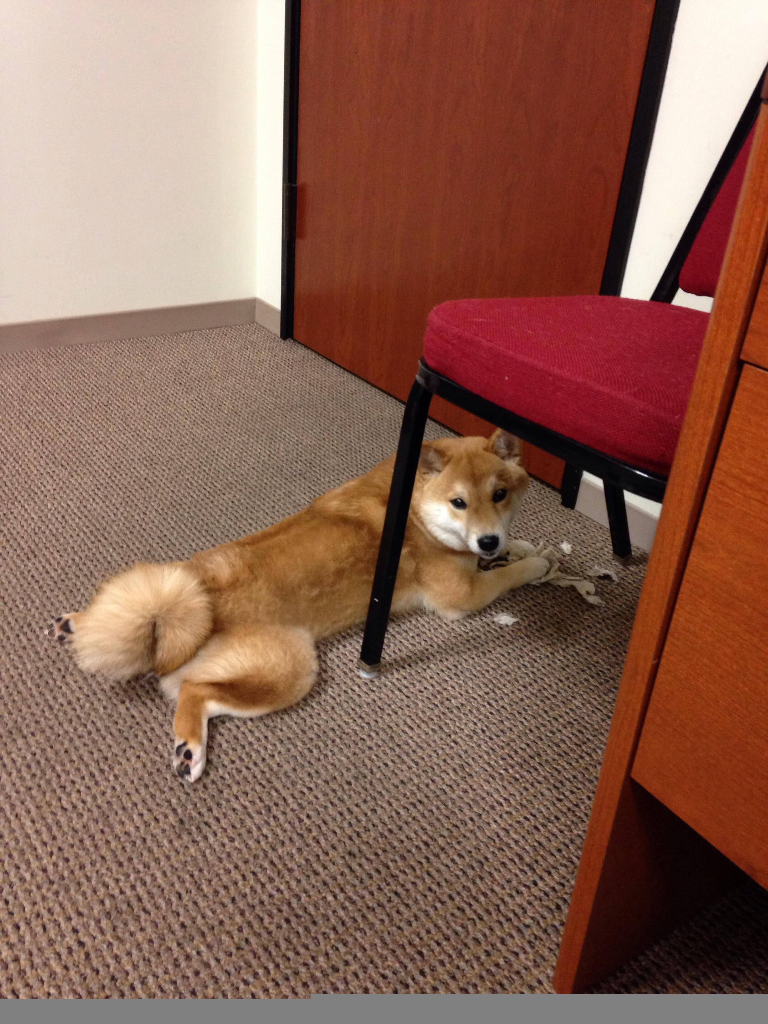 年度最难局：顶尖运动员集体挑战，中国体坛六大最难战胜的选手