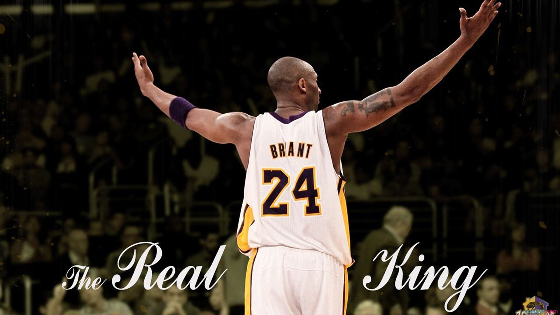 美洲杯激情激烈：逆境中崛起的队伍，美洲杯精彩集锦